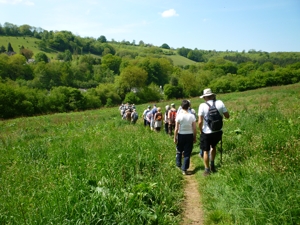 30 people joined the walk round the parish boundary
