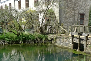 Ruskin Mill, Horsley